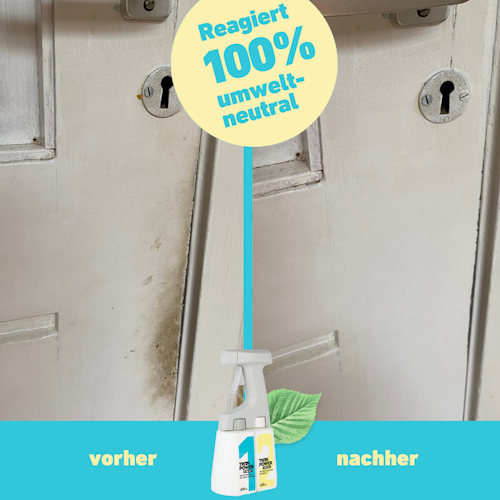 Twin Power intensiv 2 x 0,4L + Sprüher