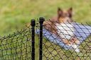Vorschaubild TRIXIE Mobiler Hundezaun, 15 m, schwarz