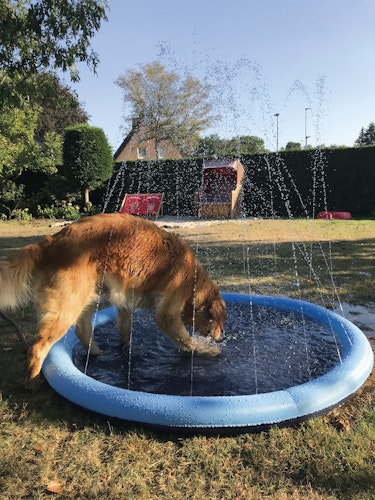 NOBBY Splash-Pool blau; Ø 100 cm