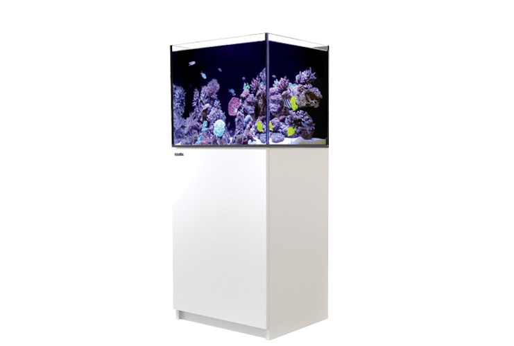 Red Sea REEFER™ 170 System G2+