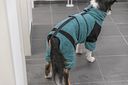 Vorschaubild TRIXIE Bade- und Hausoverall für Hunde, Frottee, petrol