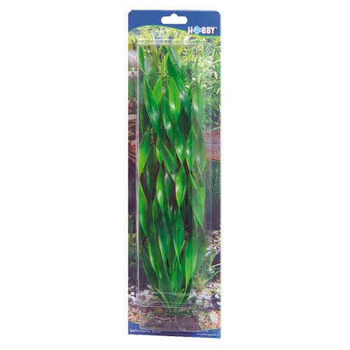 HOBBY Plant Vallisneria Aquarieneinrichtung