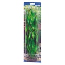 Vorschaubild HOBBY Plant Vallisneria Aquarieneinrichtung