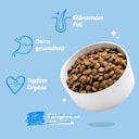 Vorschaubild Edgard&Cooper Adult norwegischer Lachs getreidefrei Hundetrockenfutter