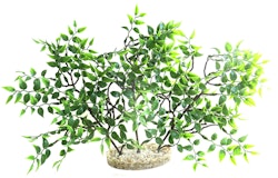 Sydeco Mangrove River Aquariendekoration