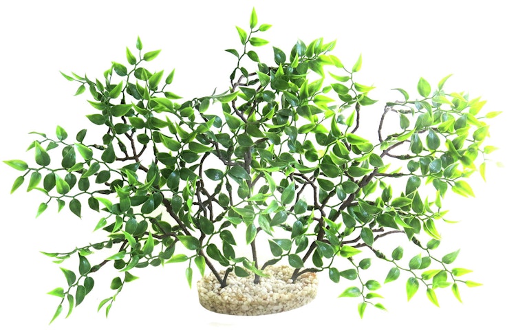 Sydeco Mangrove River Aquariendekoration