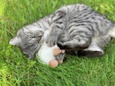 Vorschaubild Aumüller Katzenspielkissen Schäfchen Sally mit Baldrian und Dinkelspelz Katzenspielzeug