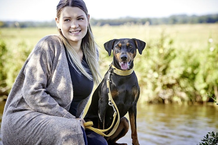 Wolters Professional Comfort currygelb Halsband