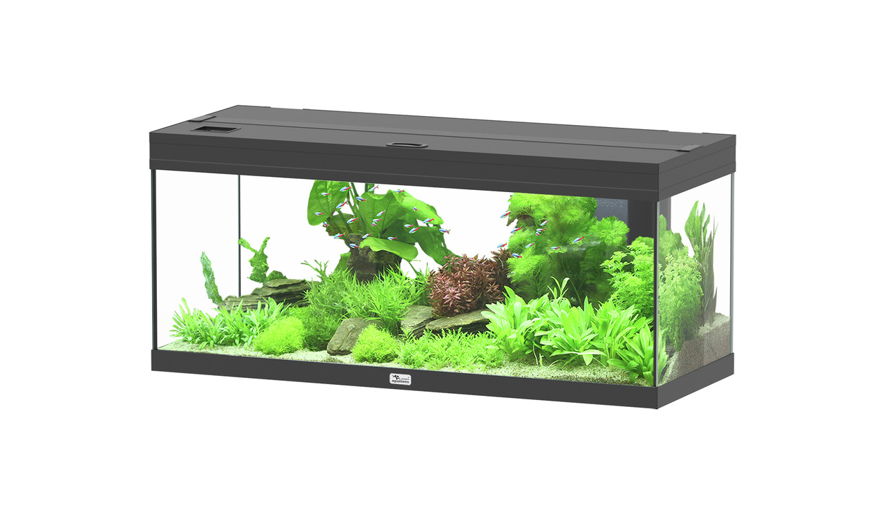 aquatlantis Prestige 100 schwarz Aquarienset