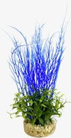 Sydeco Aqua Blue Ocean Plant 27 Zentimeter Aquariendekoration