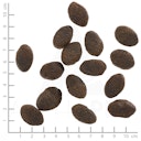 Vorschaubild WOLFSBLUT Wild Pacific 4 Sorten Fisch mit Kartoffeln Hundetrockenfutter