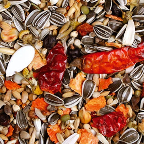 JR FARM Individual Graupapagei Vogelfutter