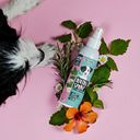 Vorschaubild Tierliebhaber Dentalspray für Hunde