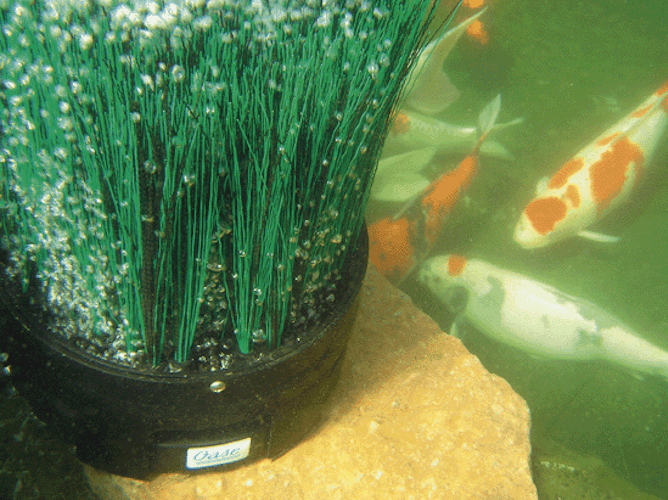 Oase Teichbelüfter OxyTex 1000