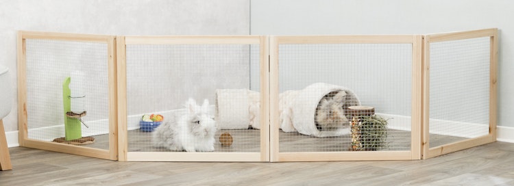 TRIXIE Indoor Freilaufgehege 60-240x50cm