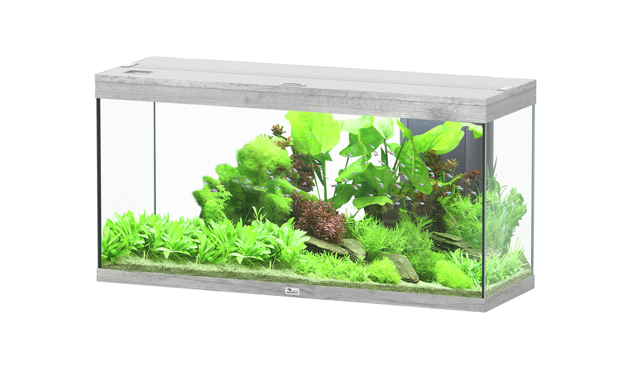 Aquatlantis Splendid 240 Esche Weiß Aquarium-Set