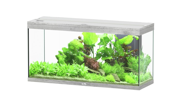 Aquatlantis Splendid 240 Esche Weiß Aquarium-Set