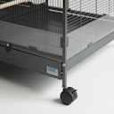 Vorschaubild SAVIC Tasmania 120 auf Rollen