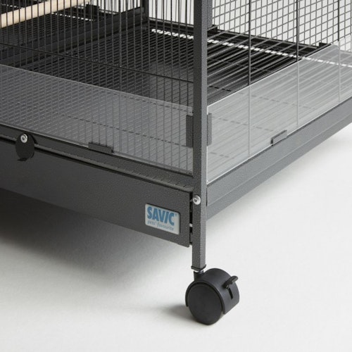 SAVIC Tasmania 120 auf Rollen