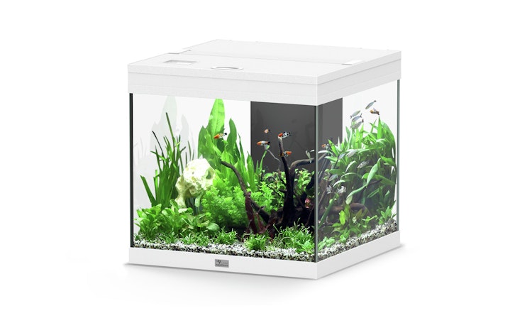 Aquatlantis Aqua Tower 120 Aquarium-Set