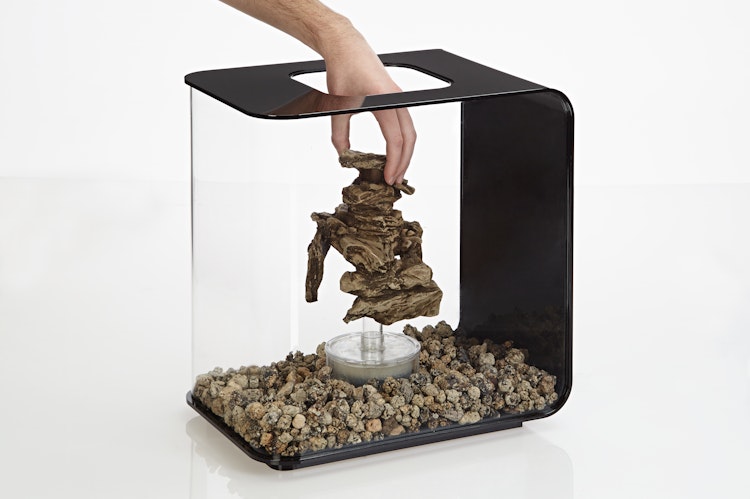 biOrb Gestein Ornament (46124)