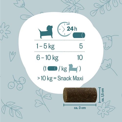 Hokamix 30 Snack Petit 400g Nahrungsergänzung