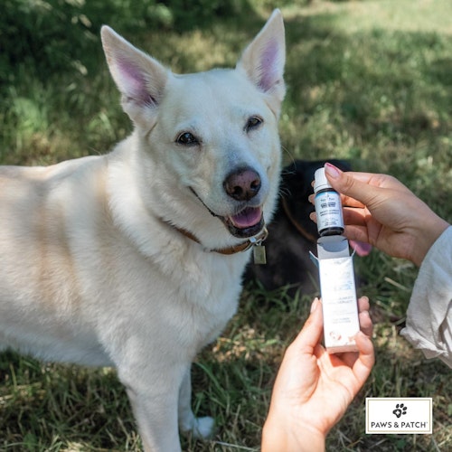 Paws&Patch ÄNGSTLICHKEIT Blütenmischung 10g