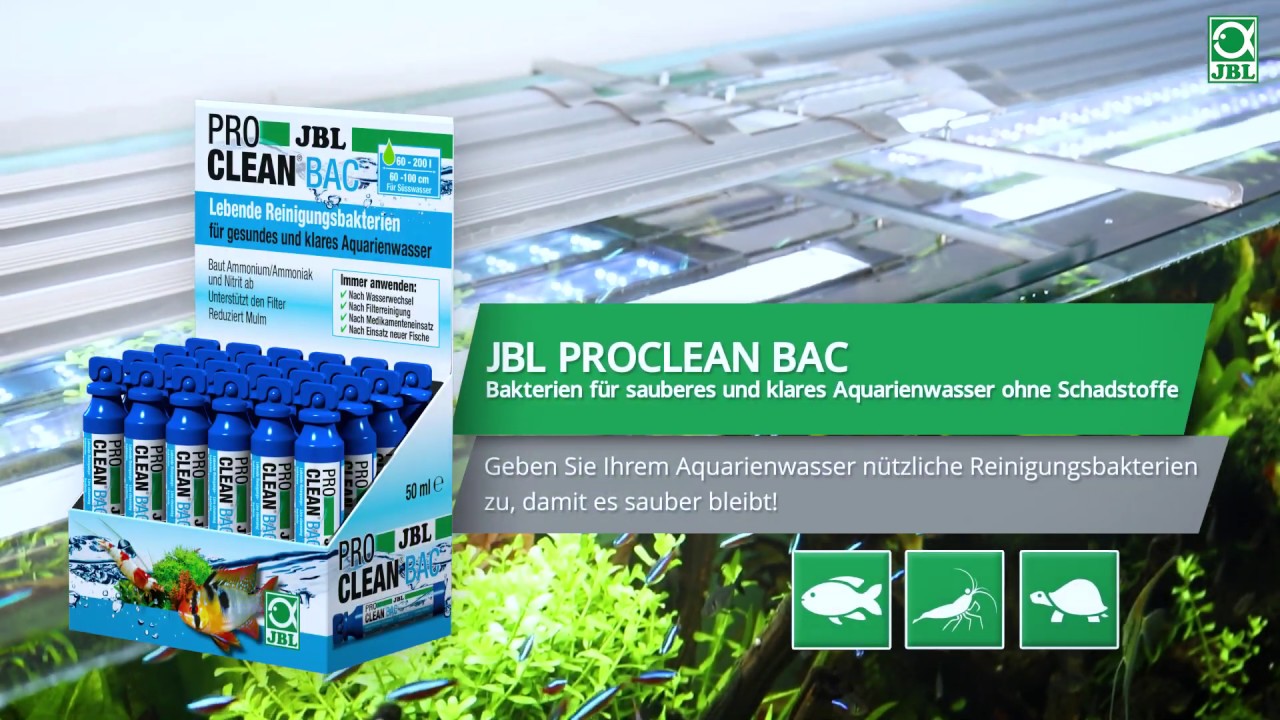 ProClean Bac