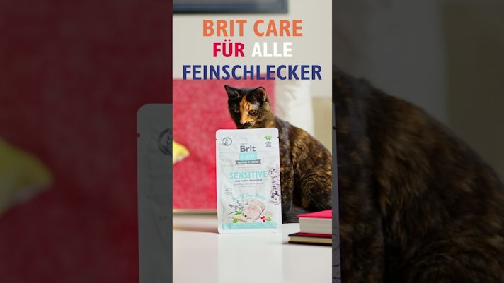 Vorschaubild Youtube-Video Vorschaubild Youtube-Video