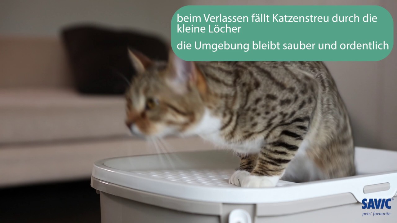 Vorschaubild Youtube-Video