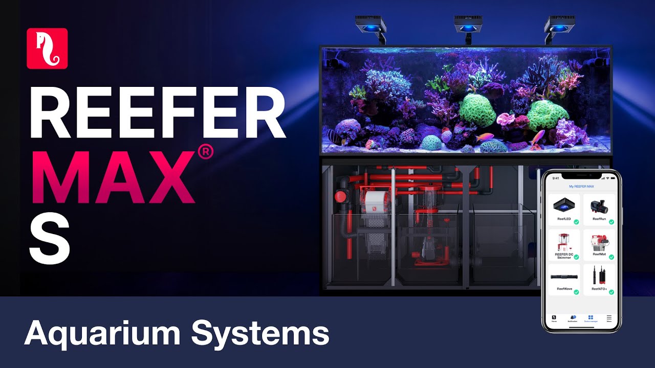 Red Sea REEFER™ MAX S-1000 G2+ System