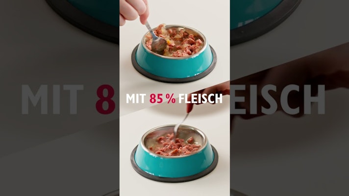 Vorschaubild Youtube-Video Vorschaubild Youtube-Video