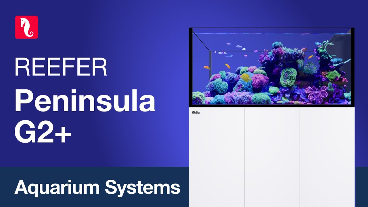 Red Sea REEFER™ Peninsula 500 G2+ Deluxe System ReefLED 160