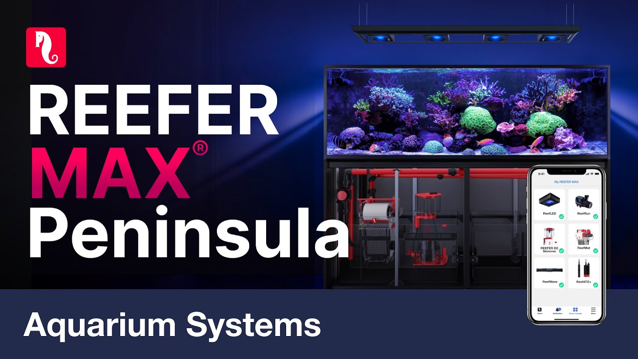 Red Sea REEFER™ MAX Peninsula S-950 G2+ System