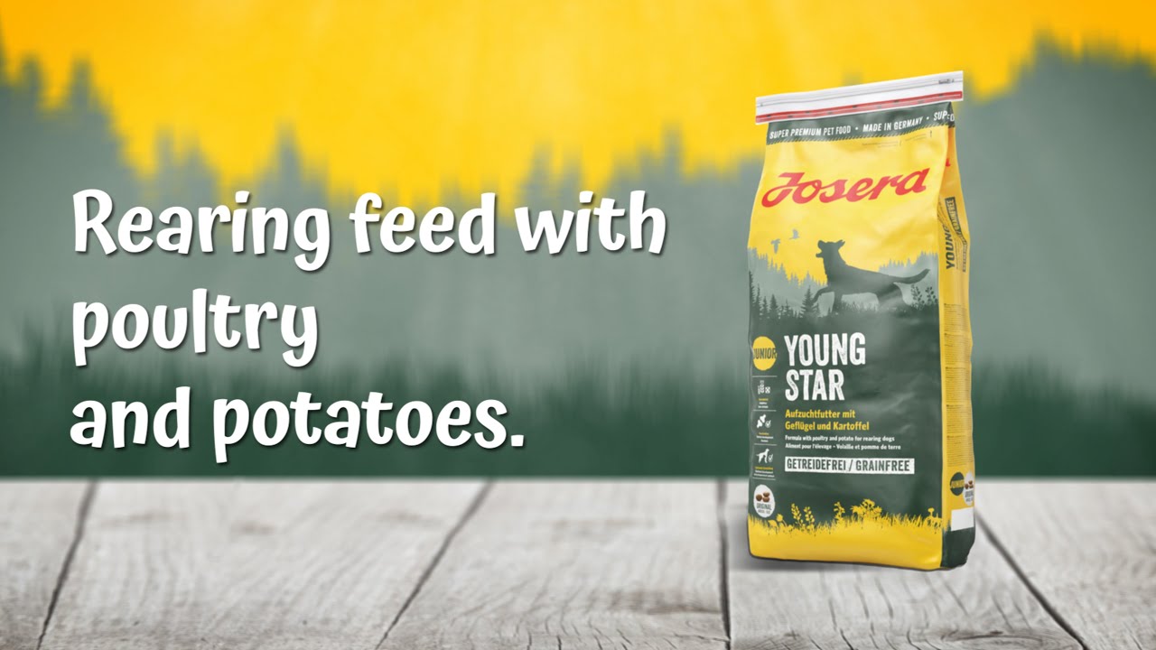 Josera YoungStar Hundetrockenfutter