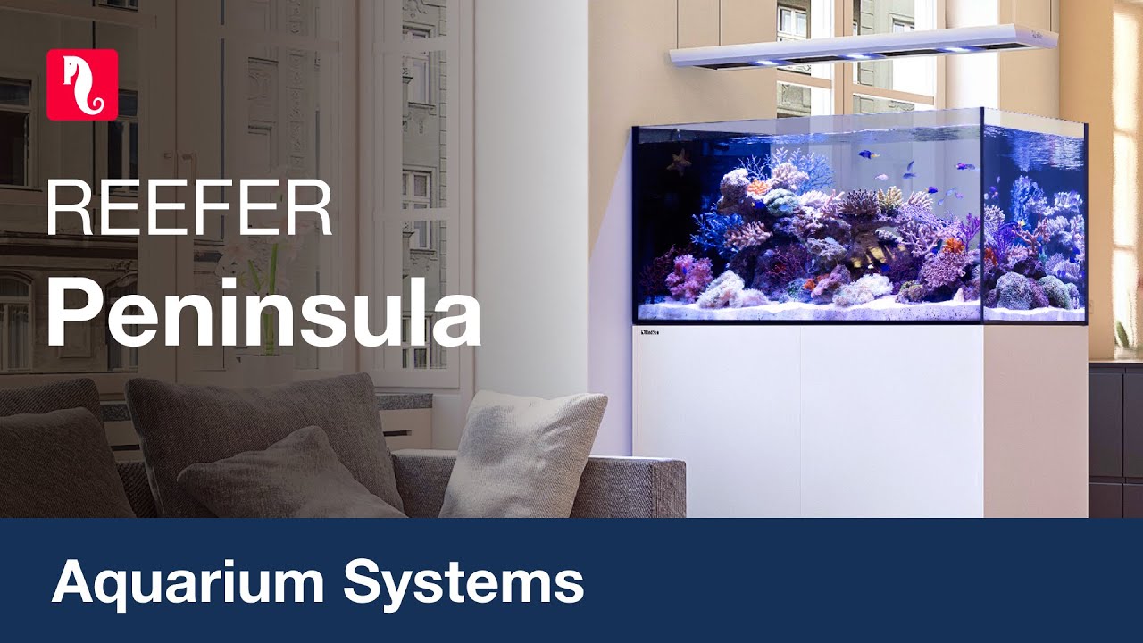 Vorschaubild Youtube-Video