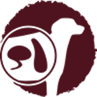 6209_protein_reduziert